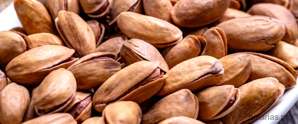 Notarias en Almendralejo (Badajoz)